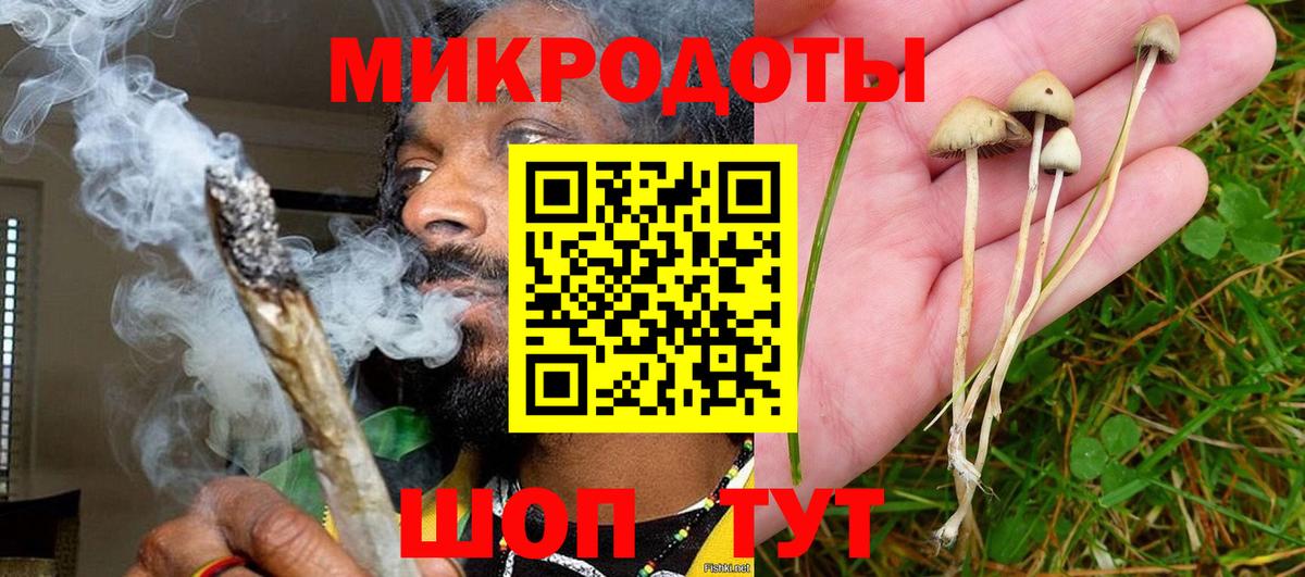 Галлюциногенные грибы MAGIC MUSHROOMS Октябрьский